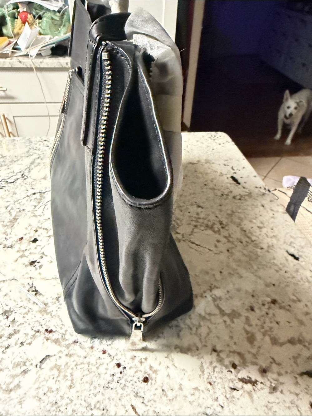 Frye Lena Black Leather Zip-Front Shoulder Bag - Picture 14 of 14